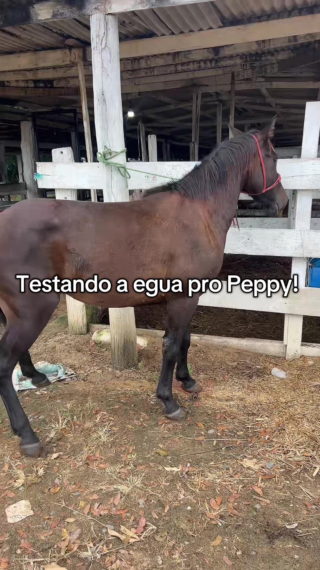 @Espanta Ranch