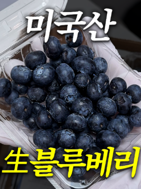 @해운대송사장