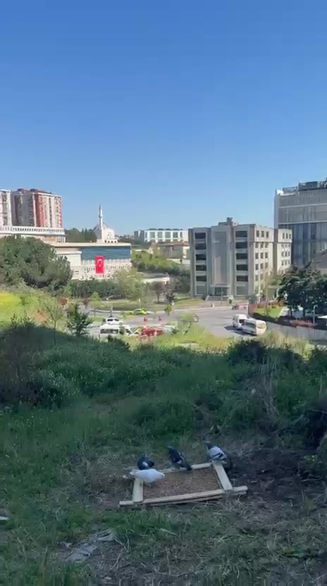 @Konyalı