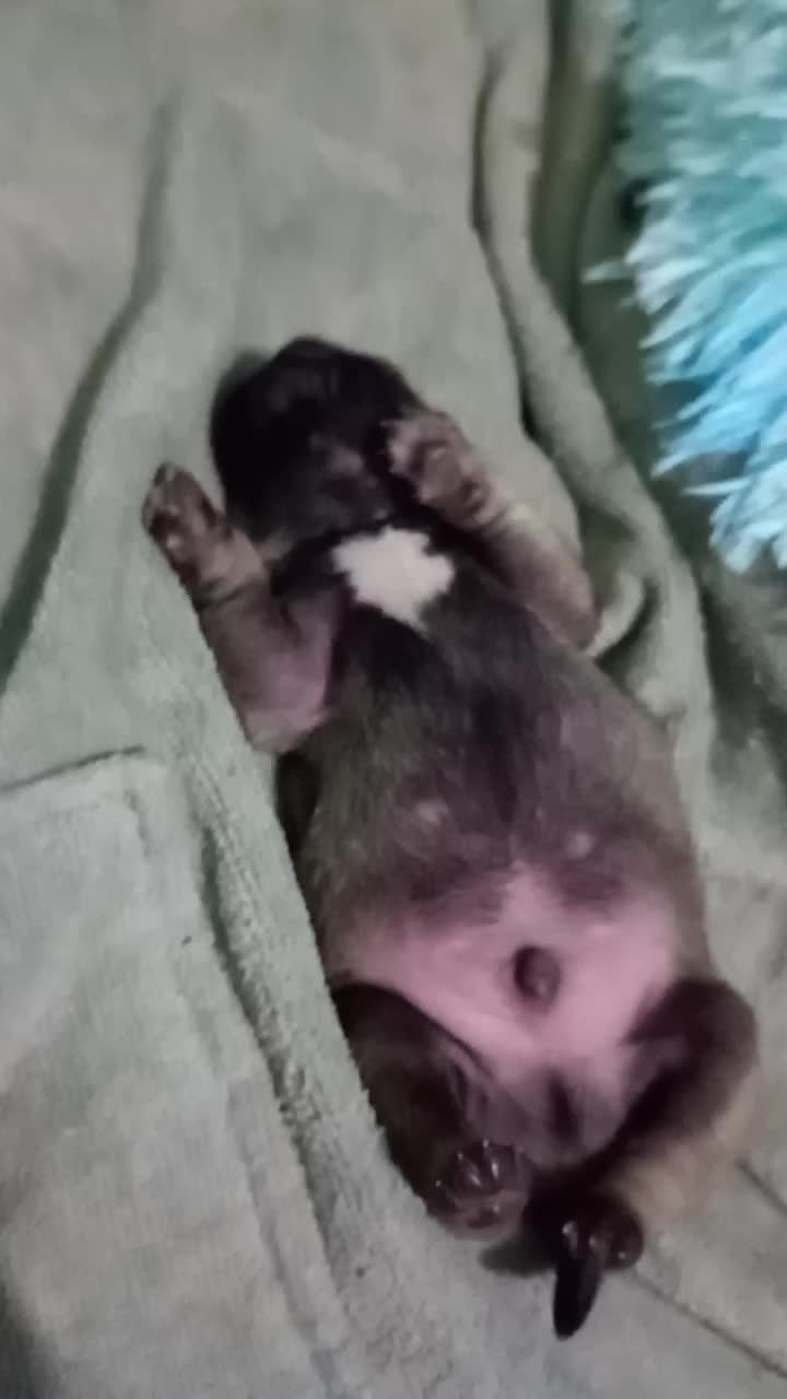 @jatziricardenas65