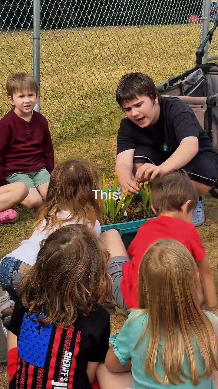 @ThreeWildSprouts
