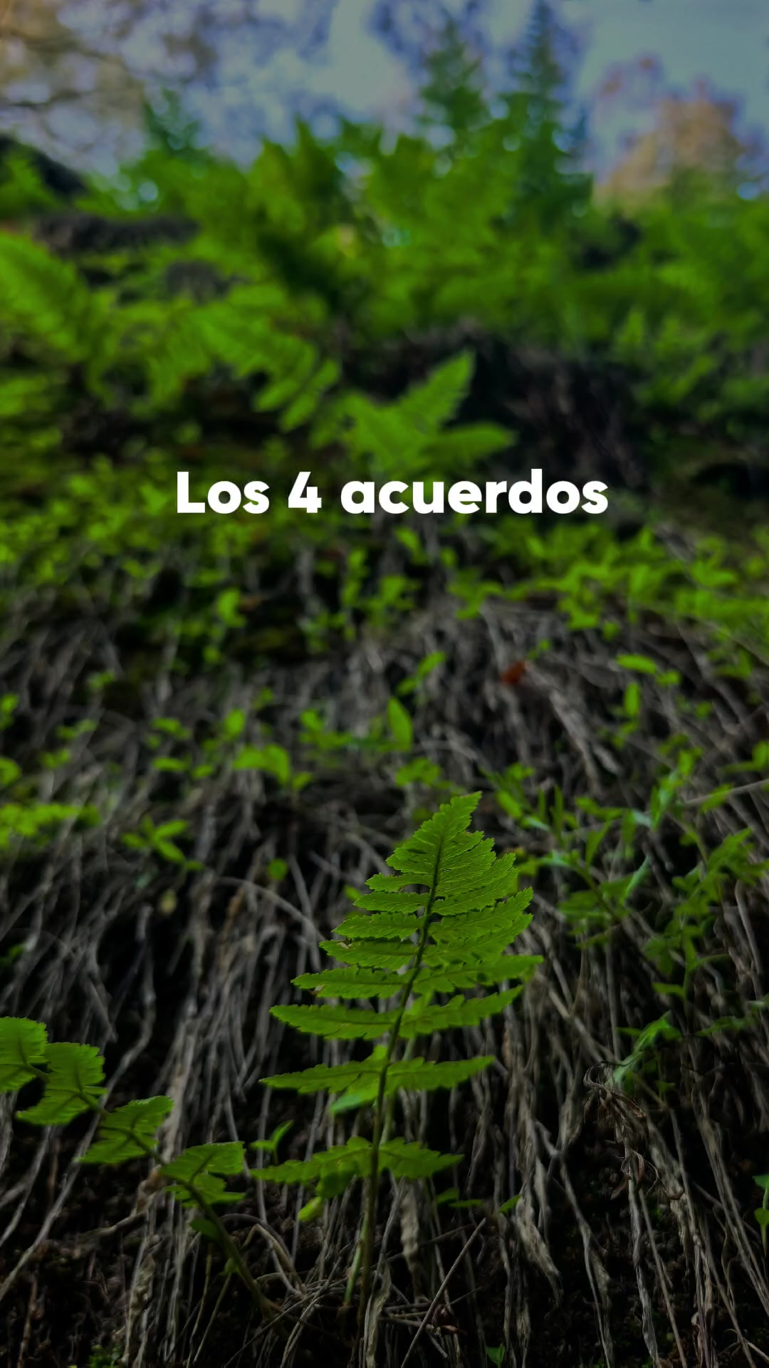 @Fabi Agro Fratec👩🏻&zwj;🌾💅🌱