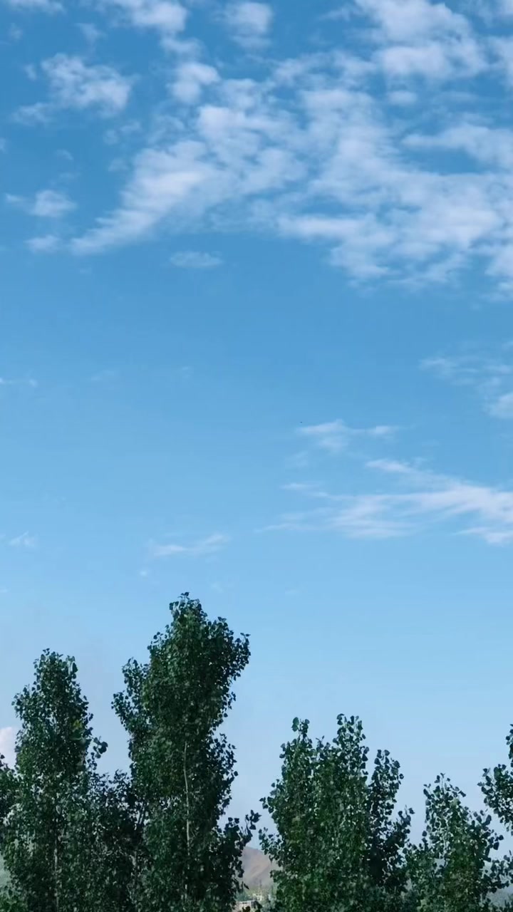 @* 🦅 SâÎd ÅñWâر 🦅*