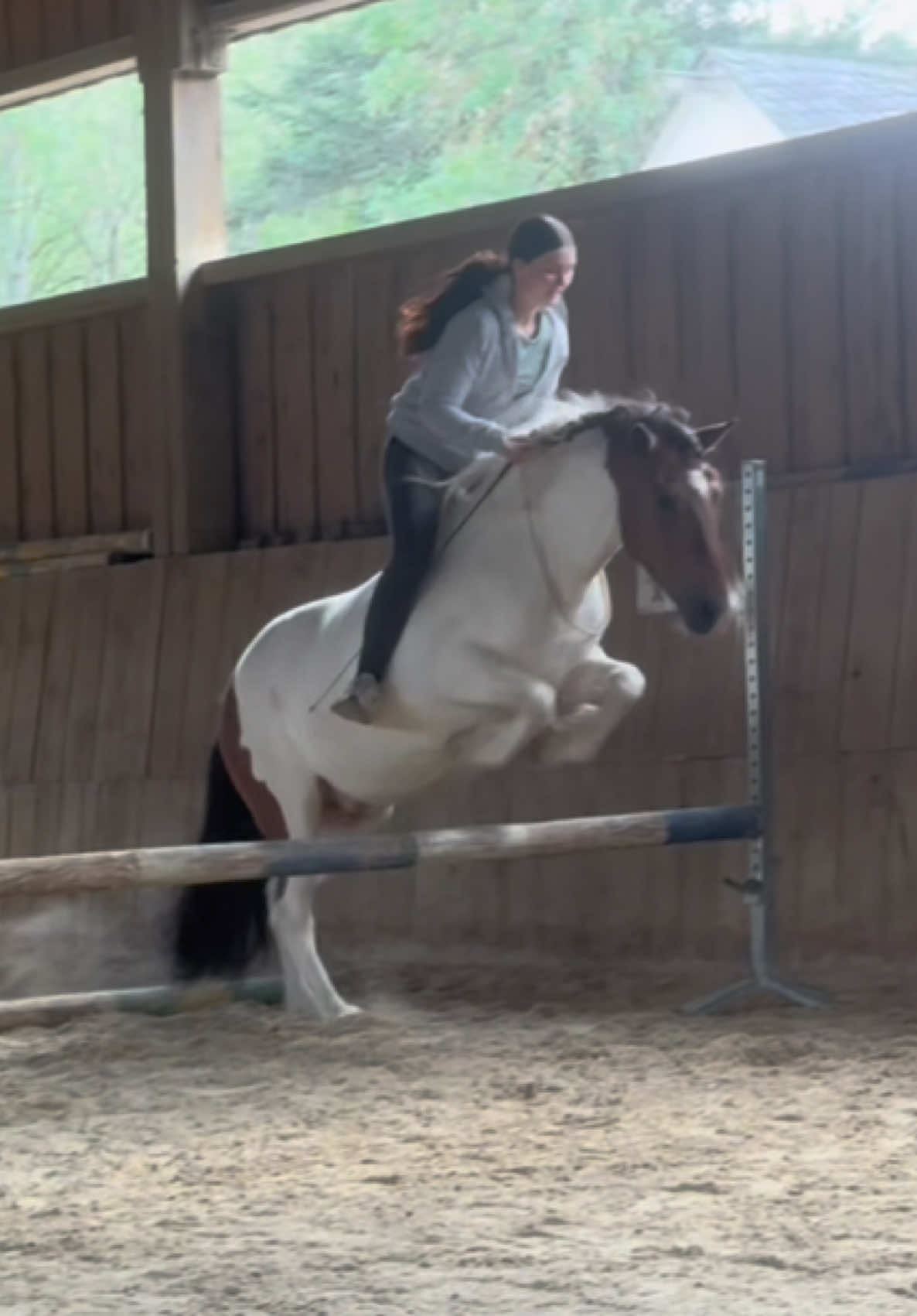 @annalisa.equestrian