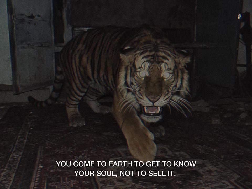 @GRITTY AMBITION