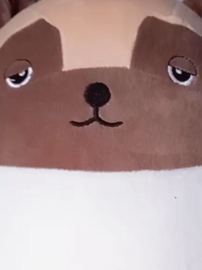 @masantaz