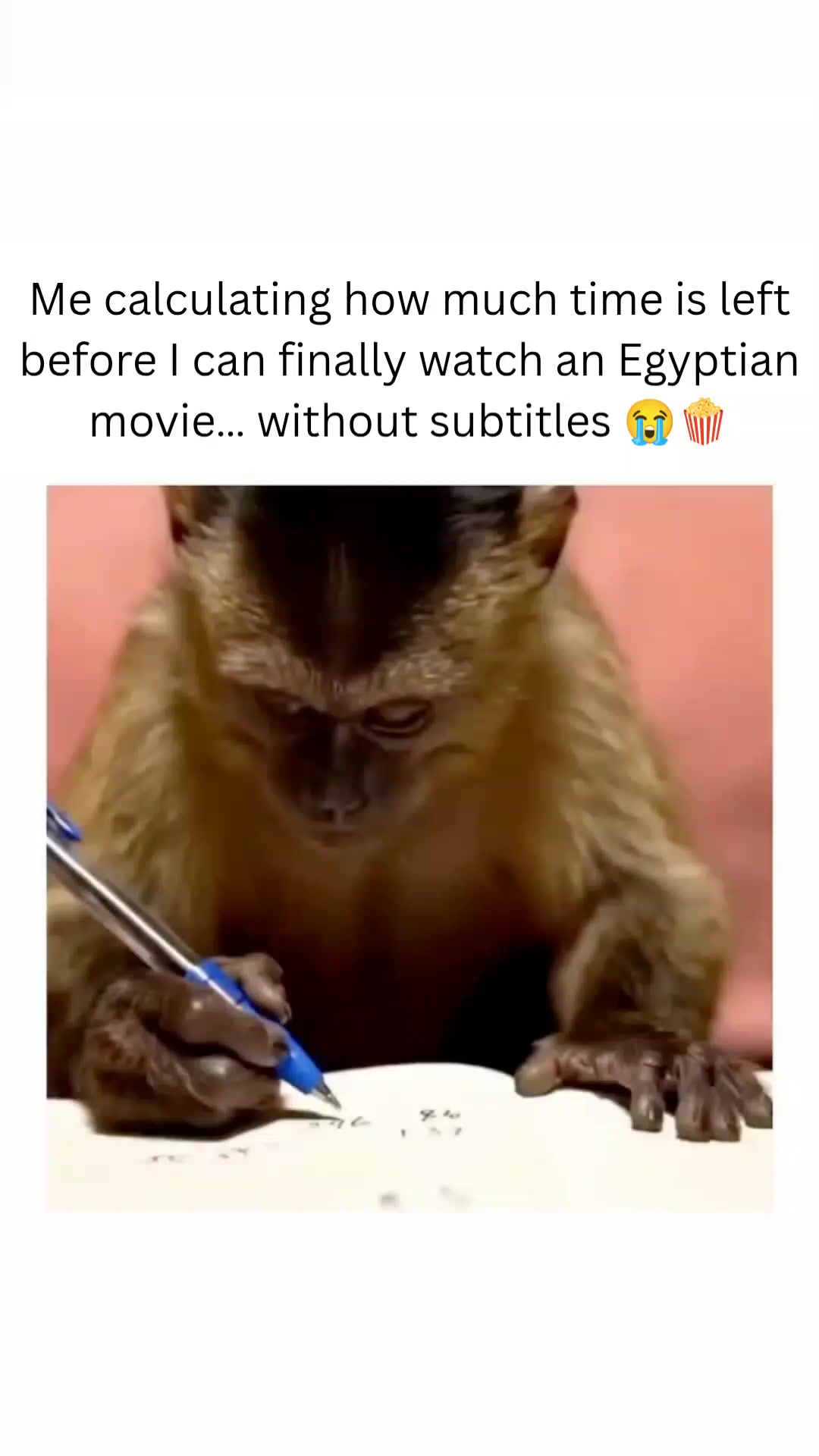 @speakarabi