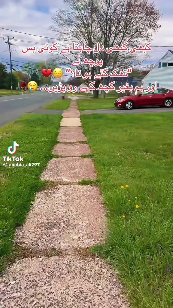 @Dr A.K USA🇺🇸