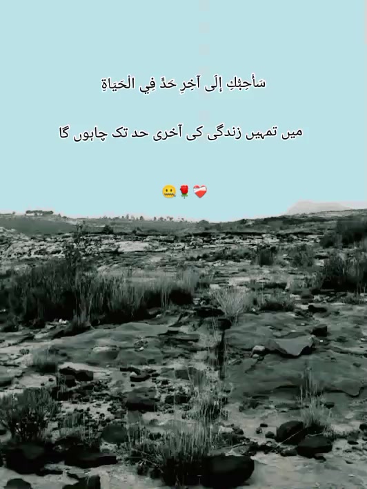 @گمنام دل❤️🩹