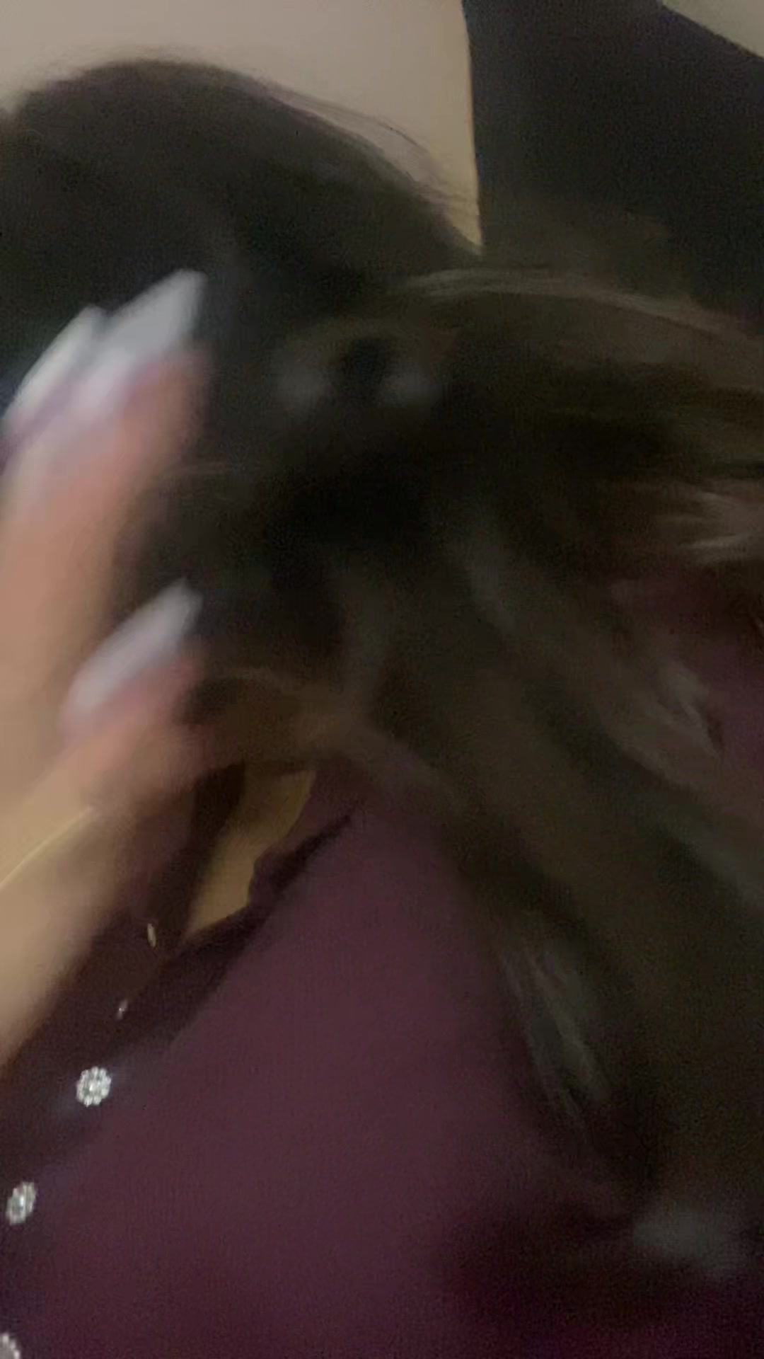 @lyzzznet