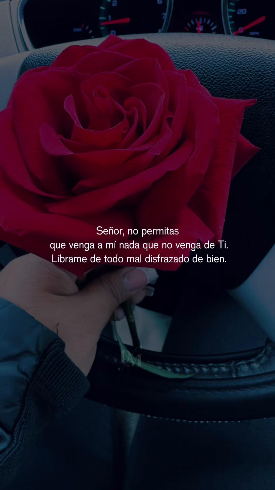 @🌹bulux