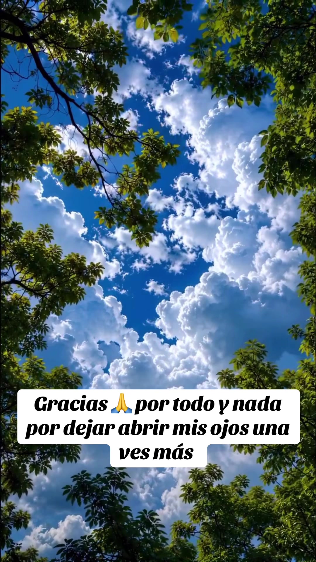 @Aliciag13