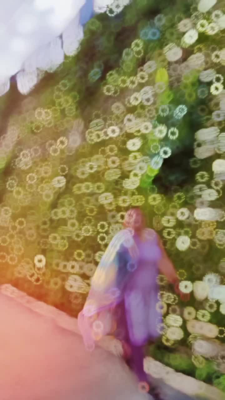 @amitasingh🦋