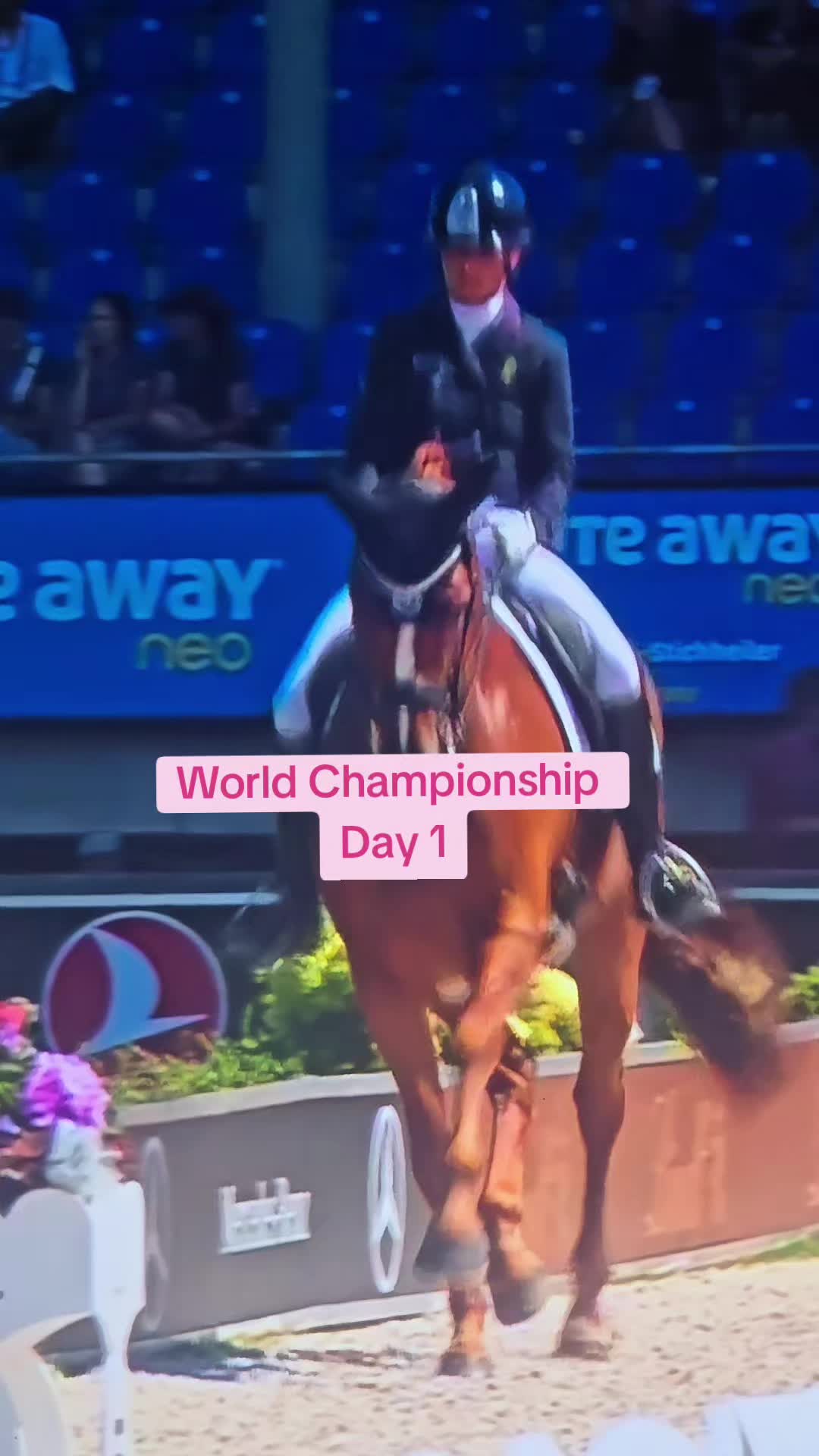 @DressageHub