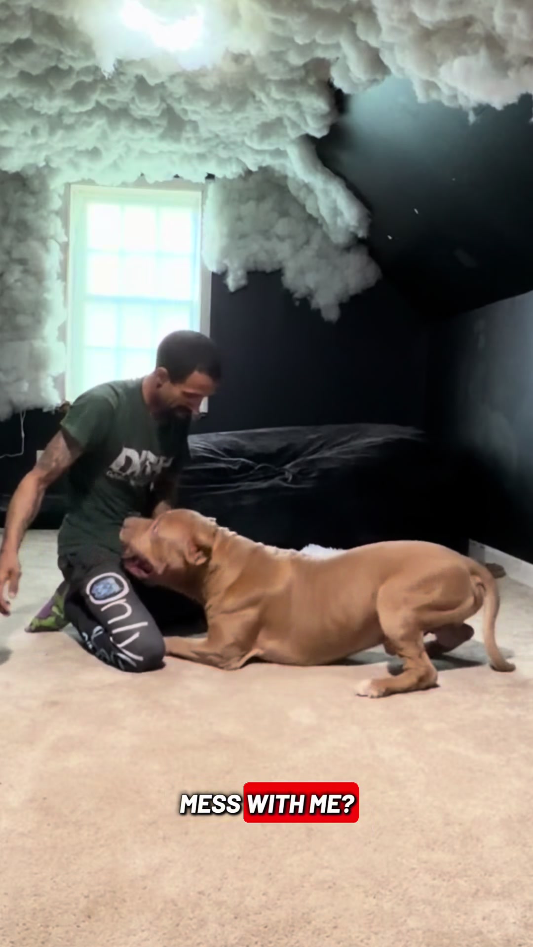 @DarkDynastyK9s