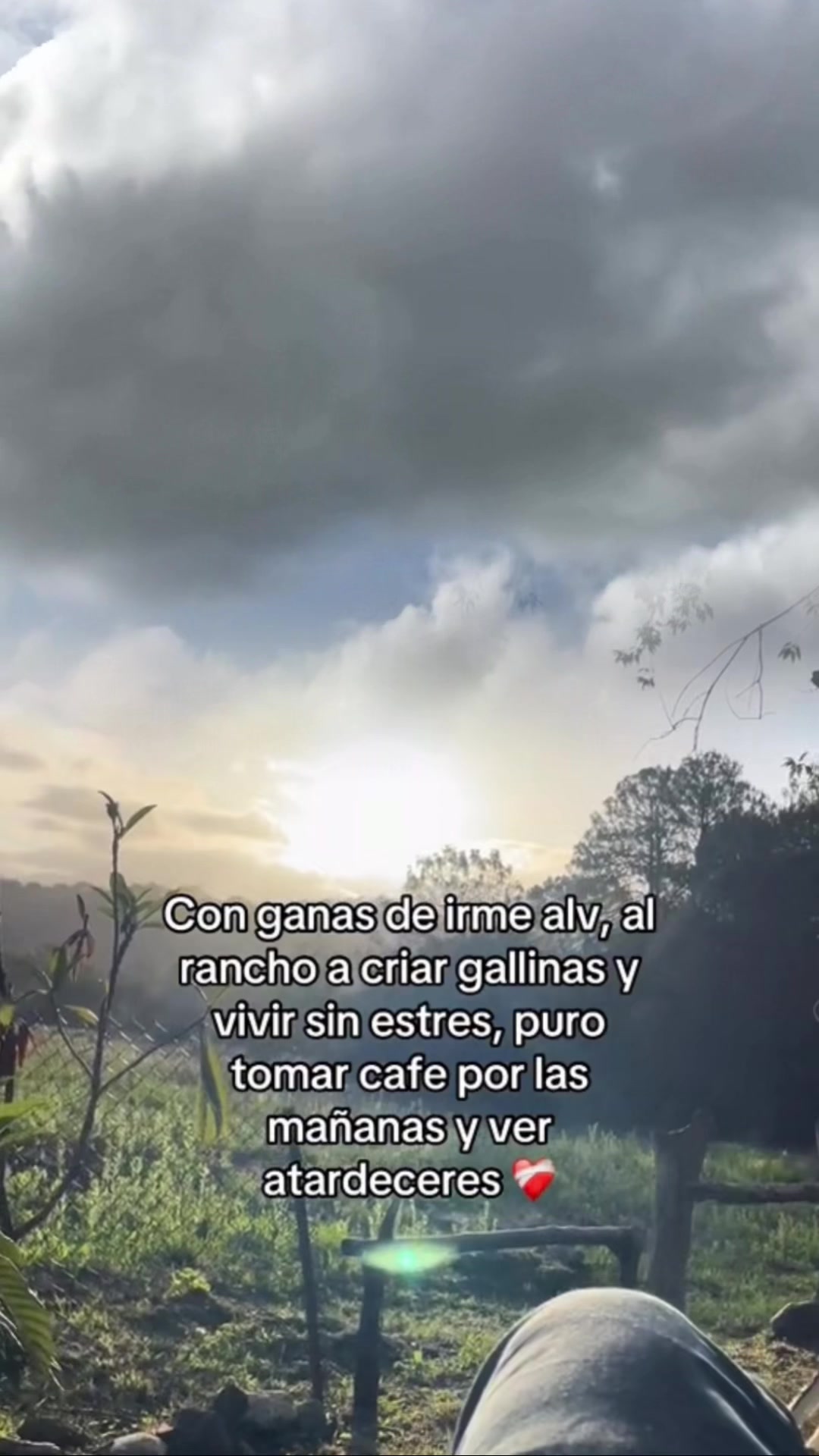 @Gabriela ♥️💞🫠 C.M 🕊️☀️✨