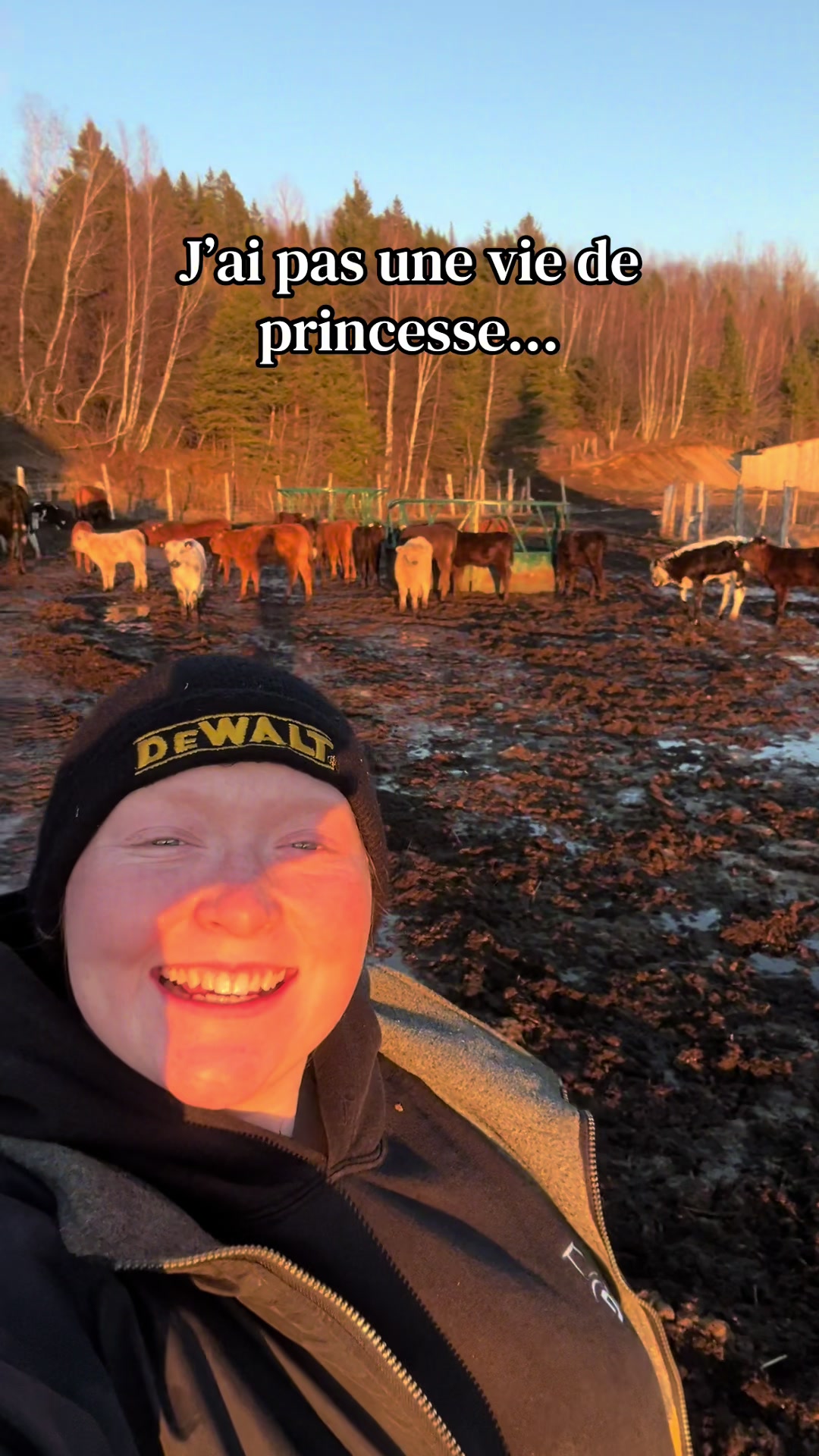 @Marilou Charest🇨🇦🐮🚜