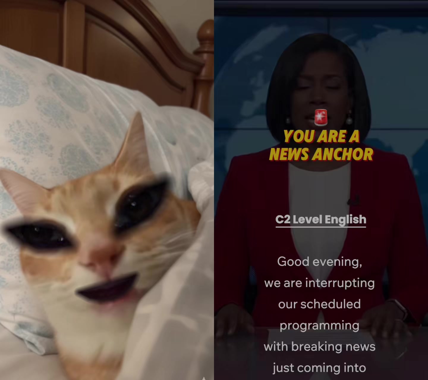 @CaNu