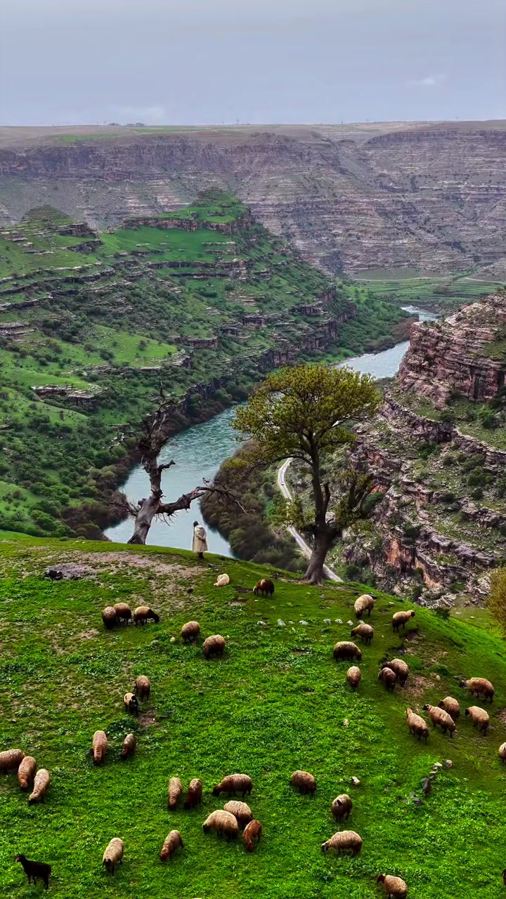 @akif.ozek