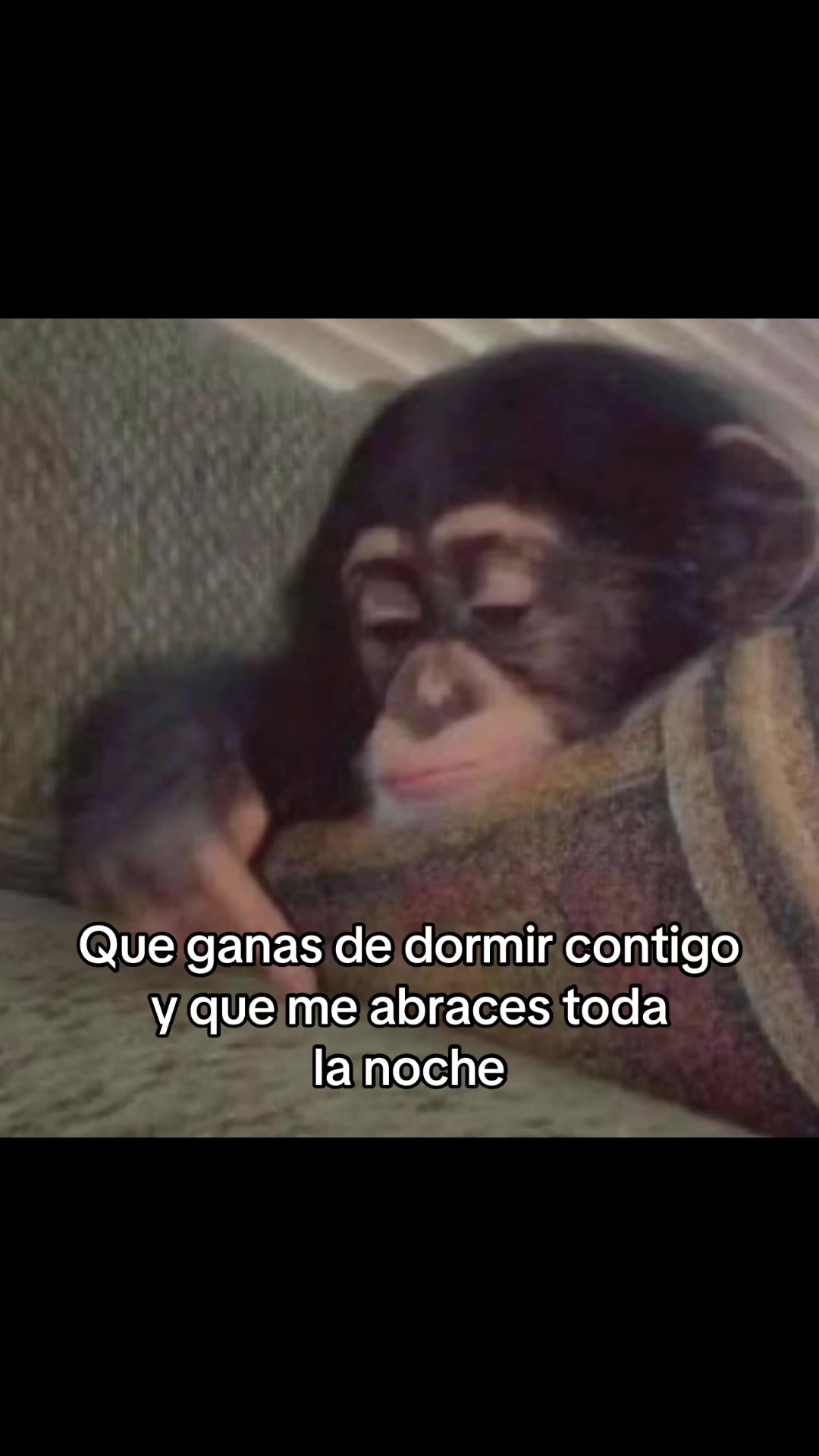 @saulburgosp2.0