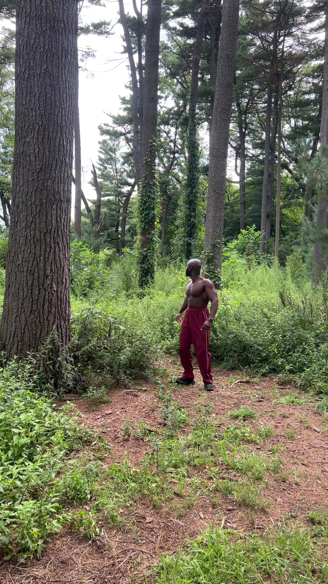@Thevillagebeast
