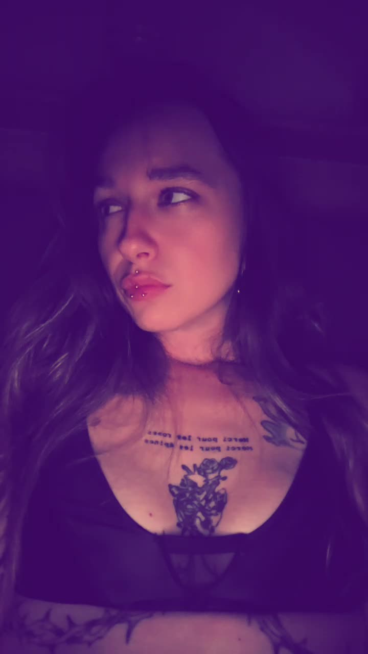 @✧&deg;&bull;ℙ𝕖𝕥𝕚𝕥𝕖 𝕝𝕚𝕠𝕟𝕟𝕖&bull;&deg;✧