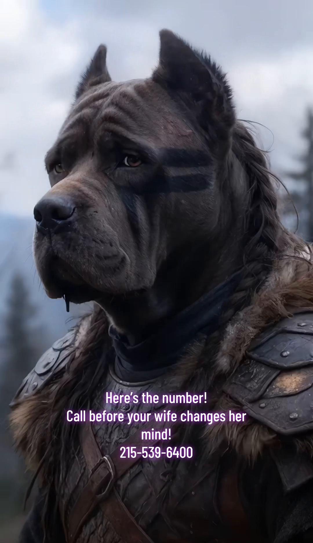 @Ultimate Puppies