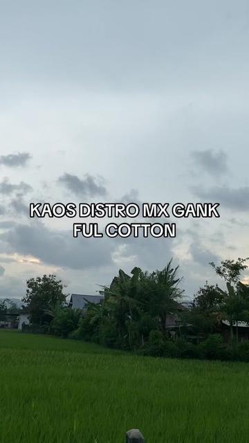 @dapaaa