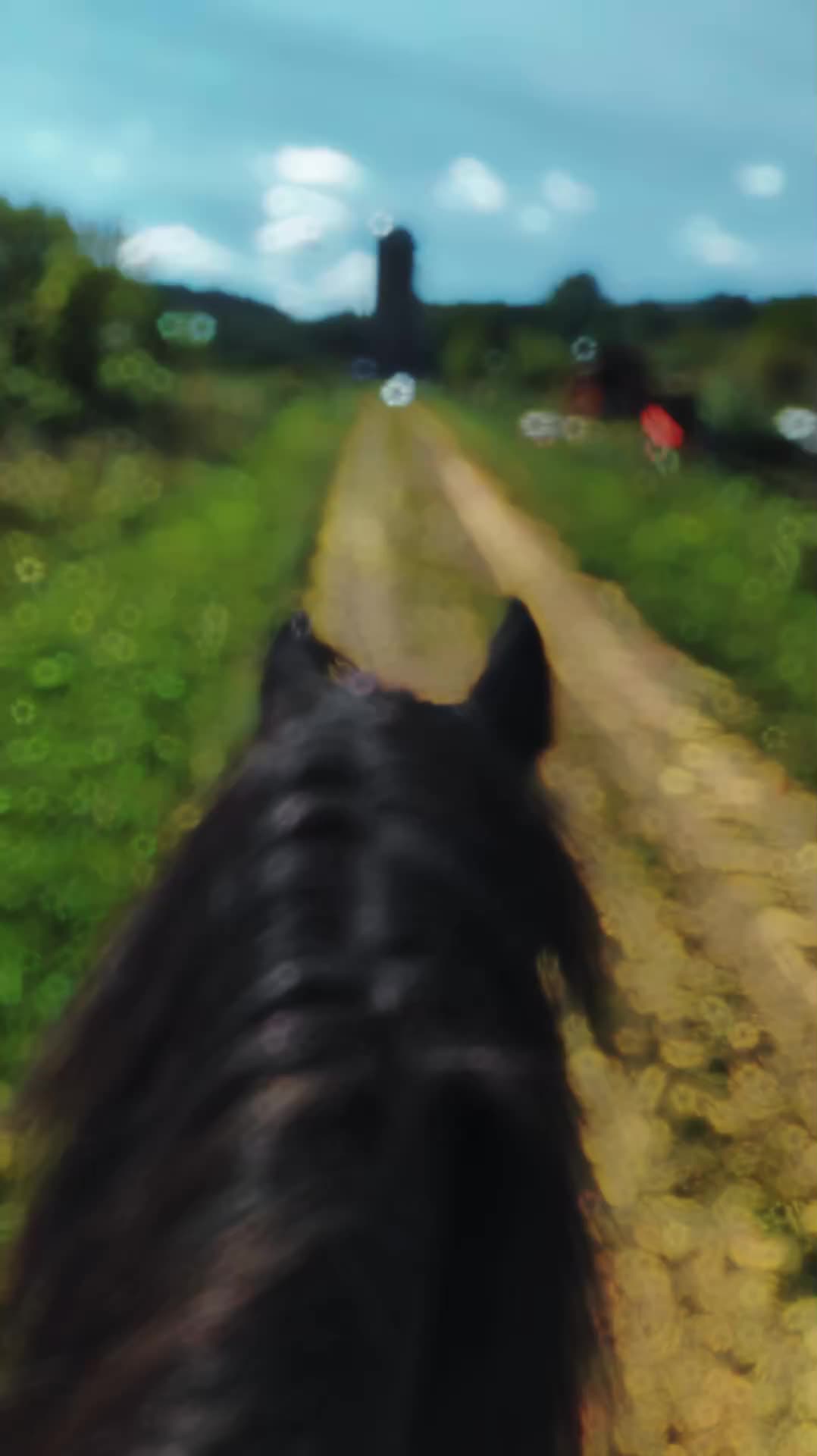 @RogueCowPonies
