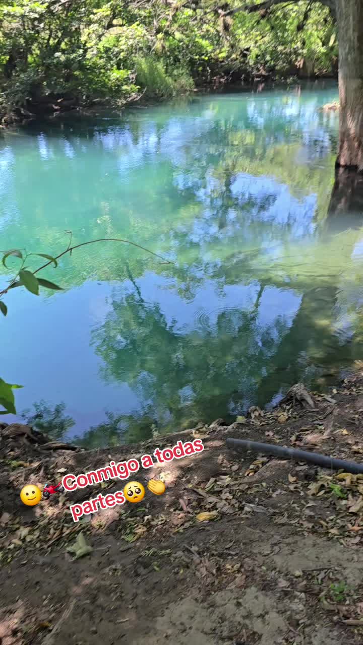 @Jeyver Martinez