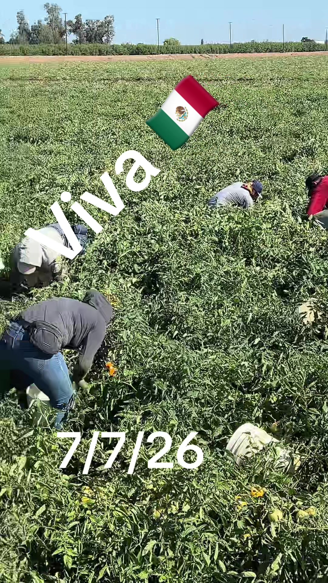 @blanco10