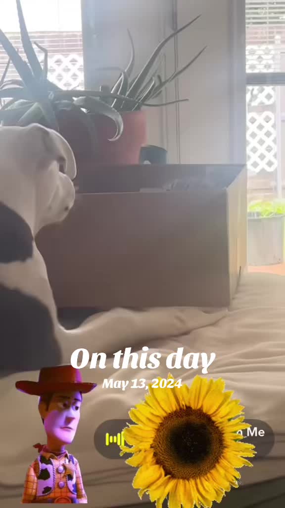 @Care-Ugh-🧸-Ugh