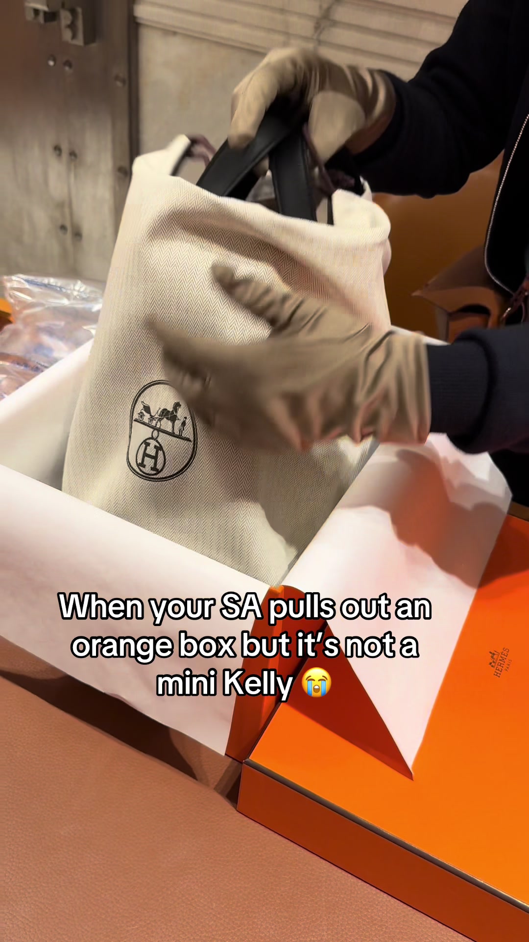@bellewynnn