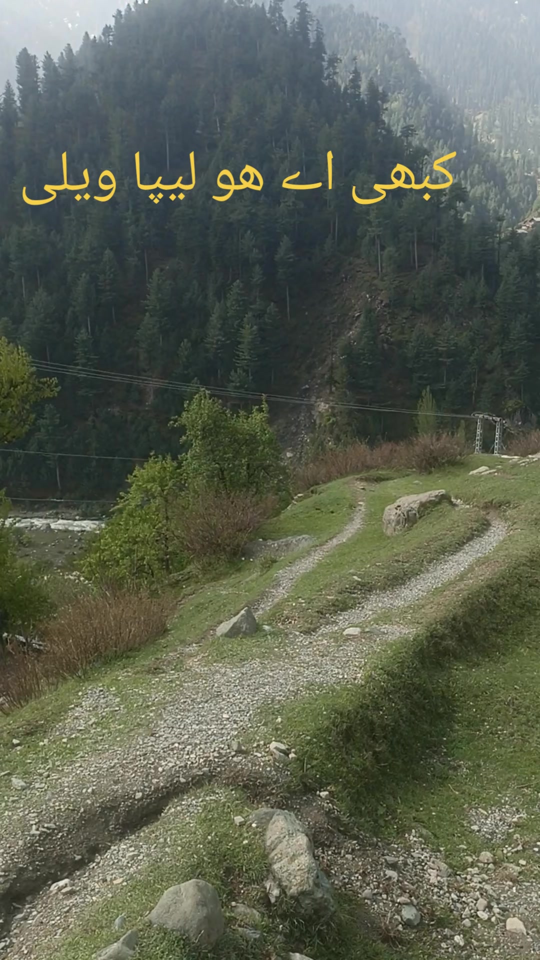 @سیدذادی