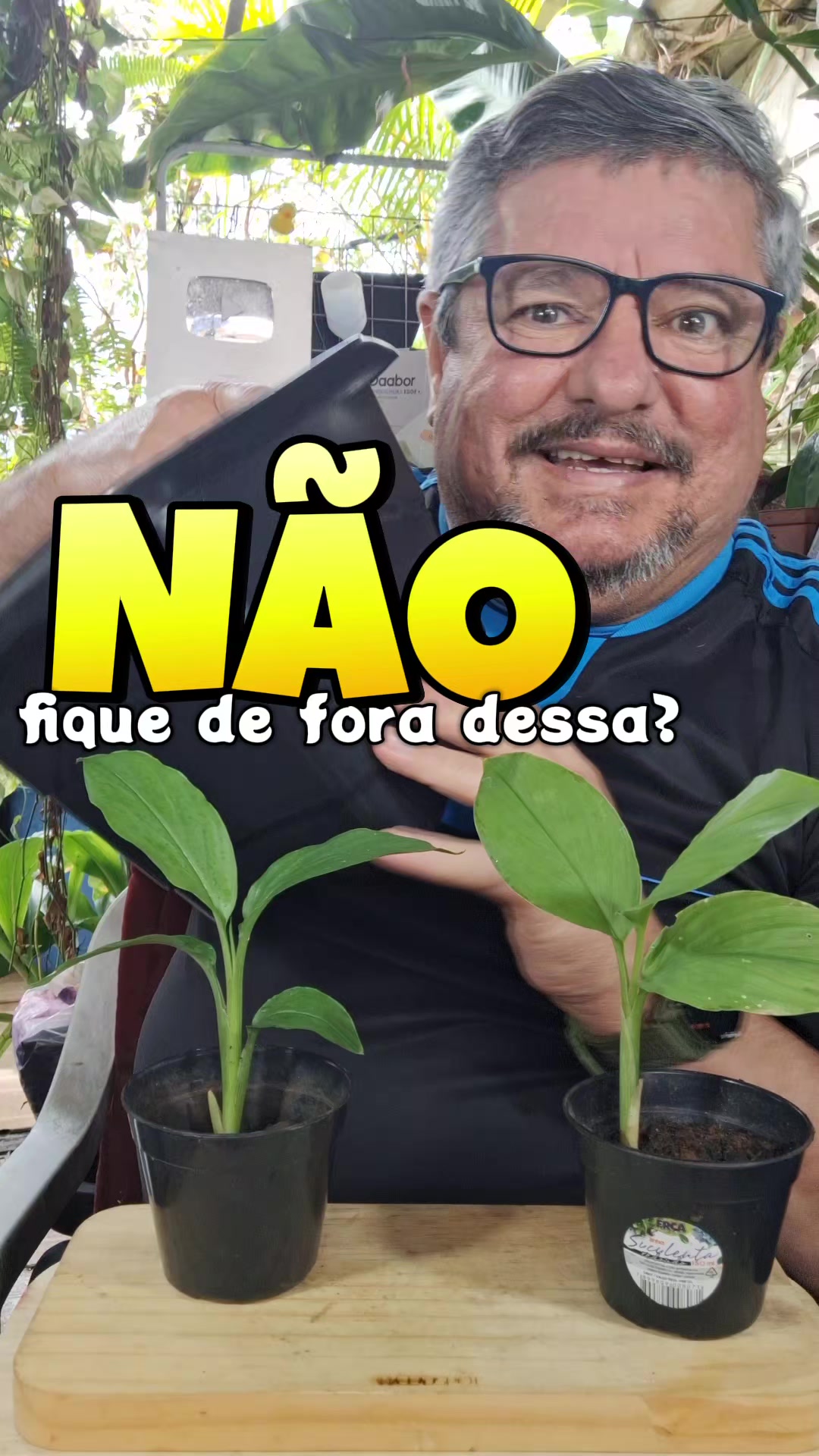 @ROÇA DO DRIM