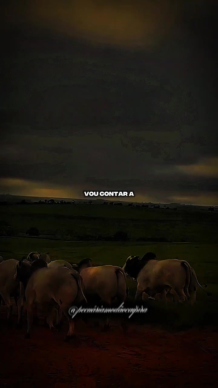 @pecu&aacute;ria mod&atilde;o caipira