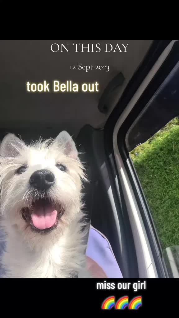 @claire🌈BellaBertErnie💙T&D