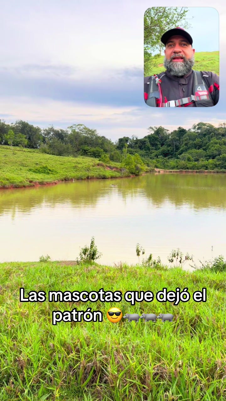 @Alonso patiño