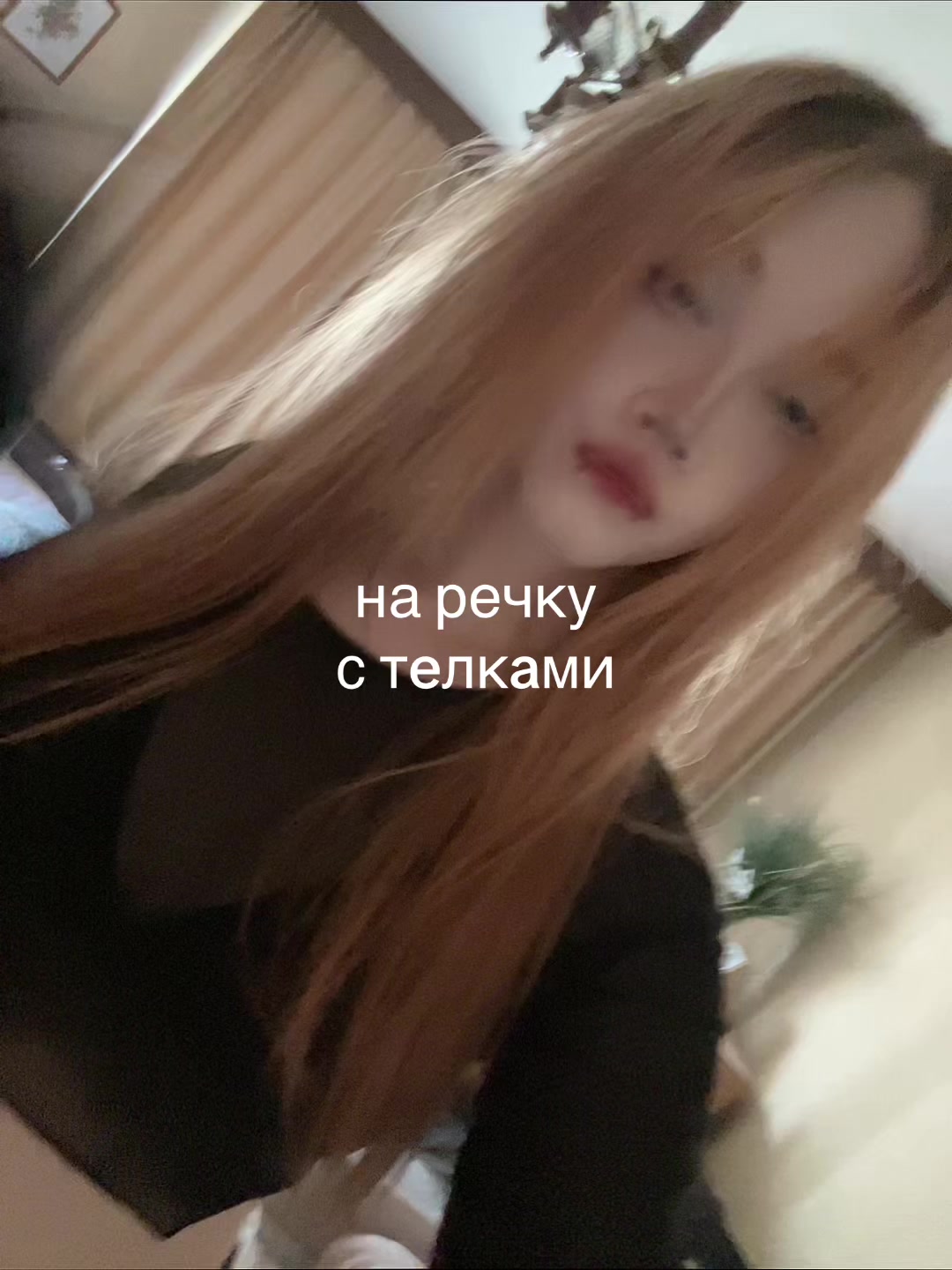 @лацертида