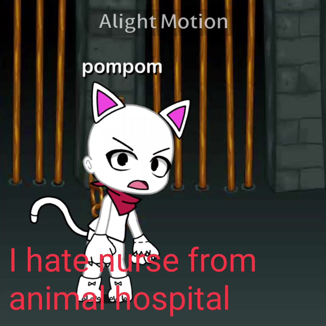 @pompom_cool2