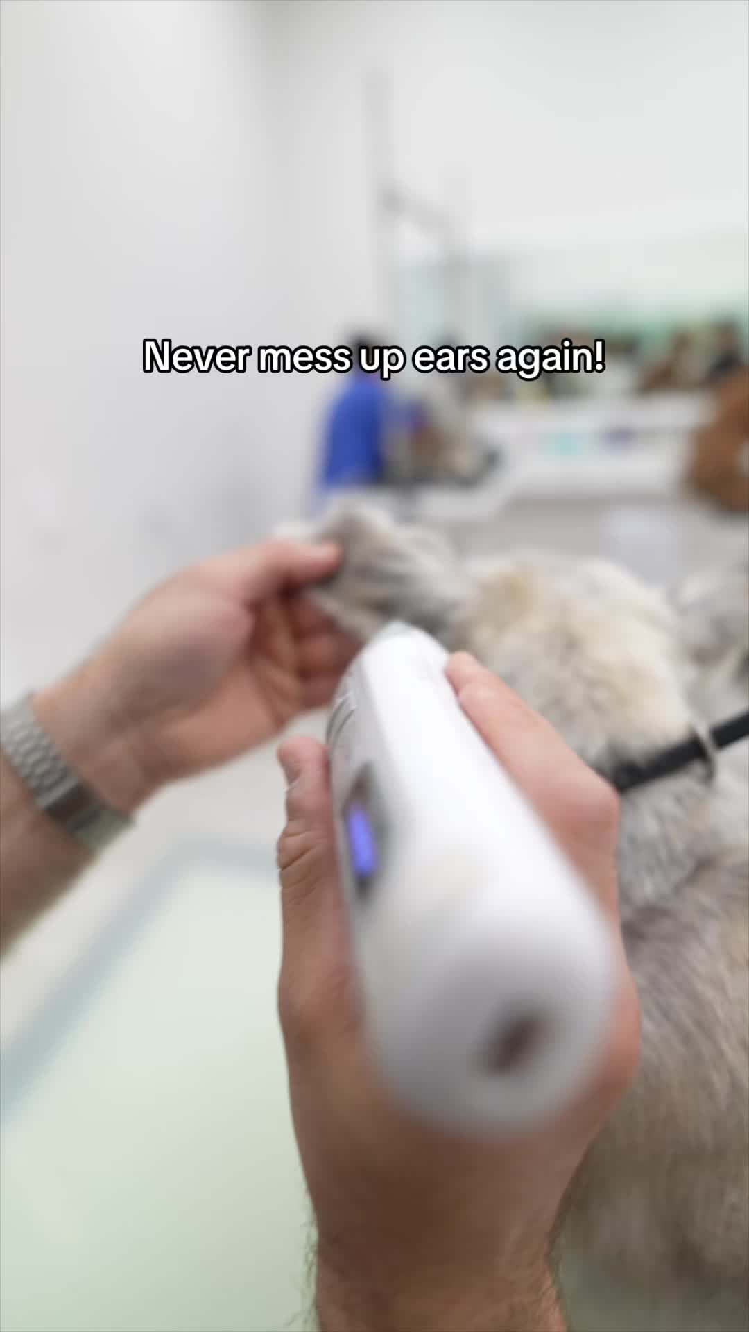 @NorCal Grooming Academy