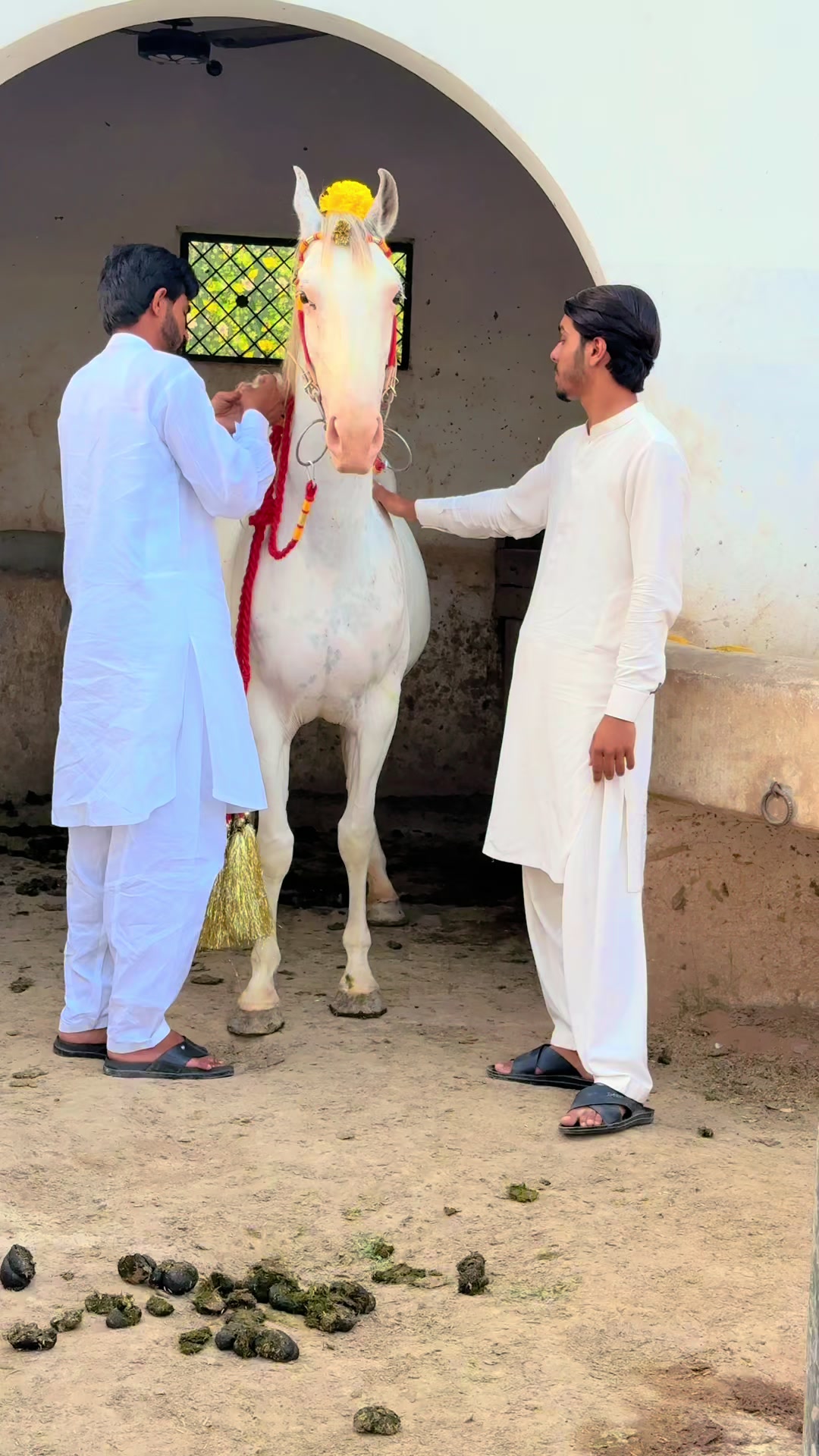@Rai MUNAWAR SULTAN MANJ