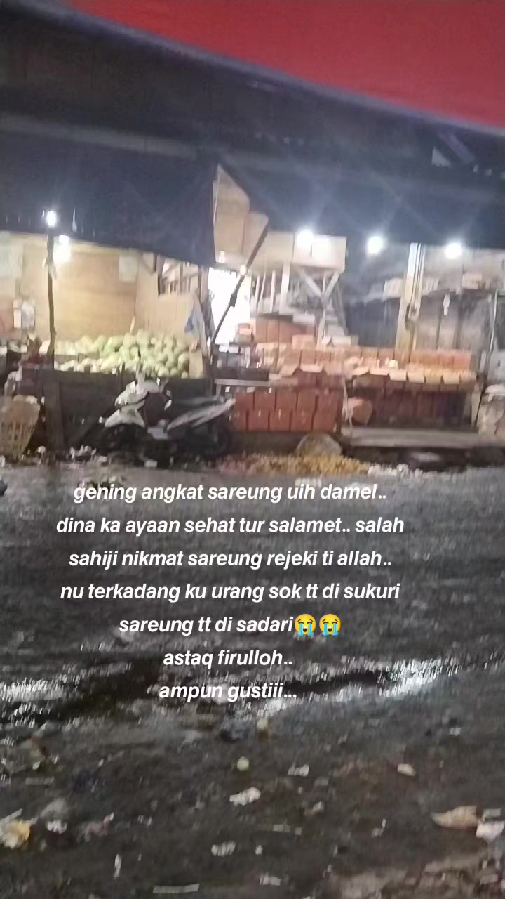 @langlangbuana343