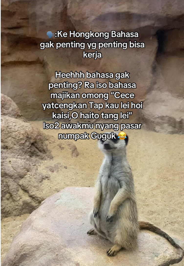 @Mbak_nha