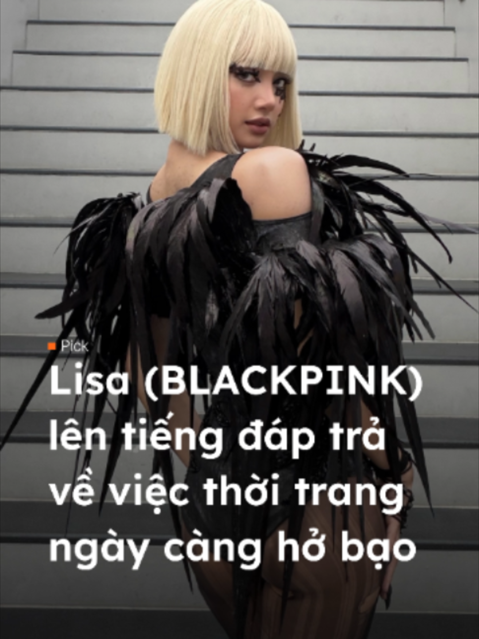 @Kim Chi Đại H&agrave;n