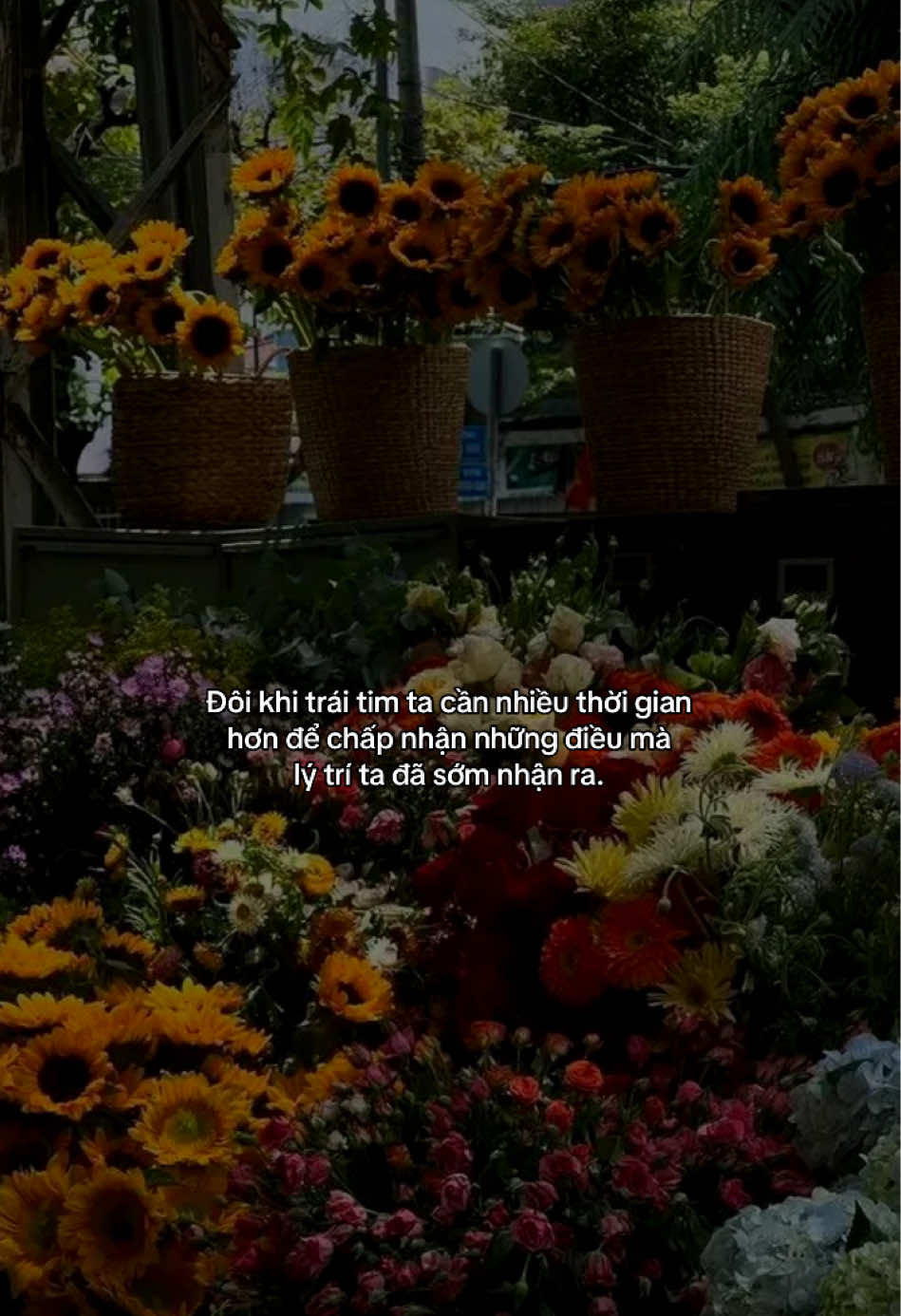 @Nơi đ&acirc;y thu mua nỗi buồn