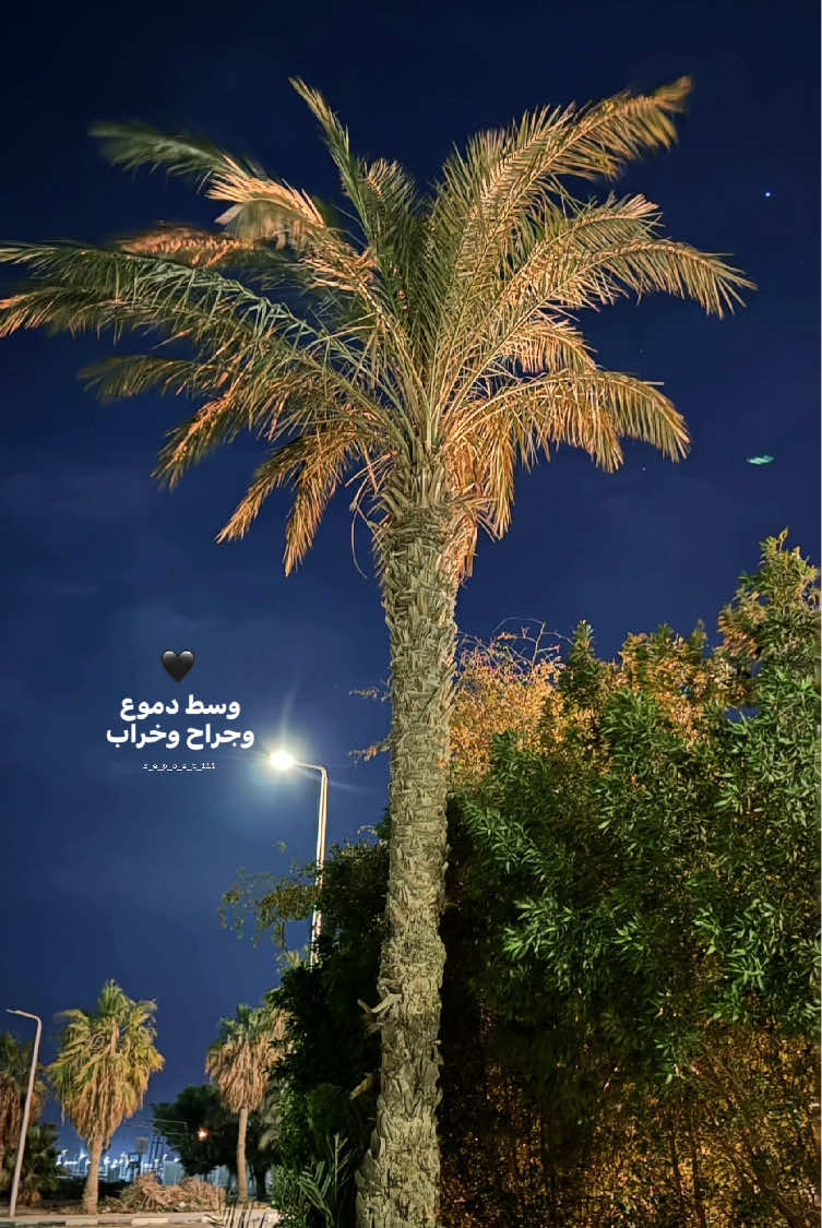 @𝐑𝐄𝐏𝐎𝐒𝐓ا🔁