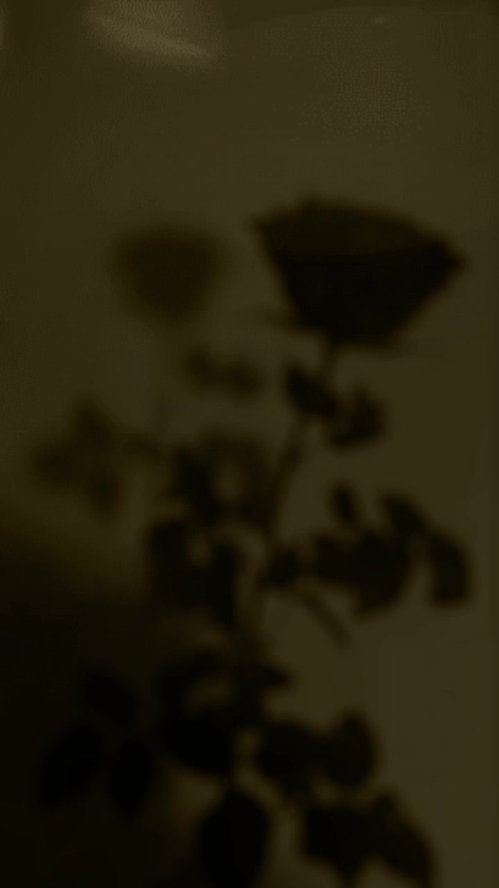 @!N!$!@L R