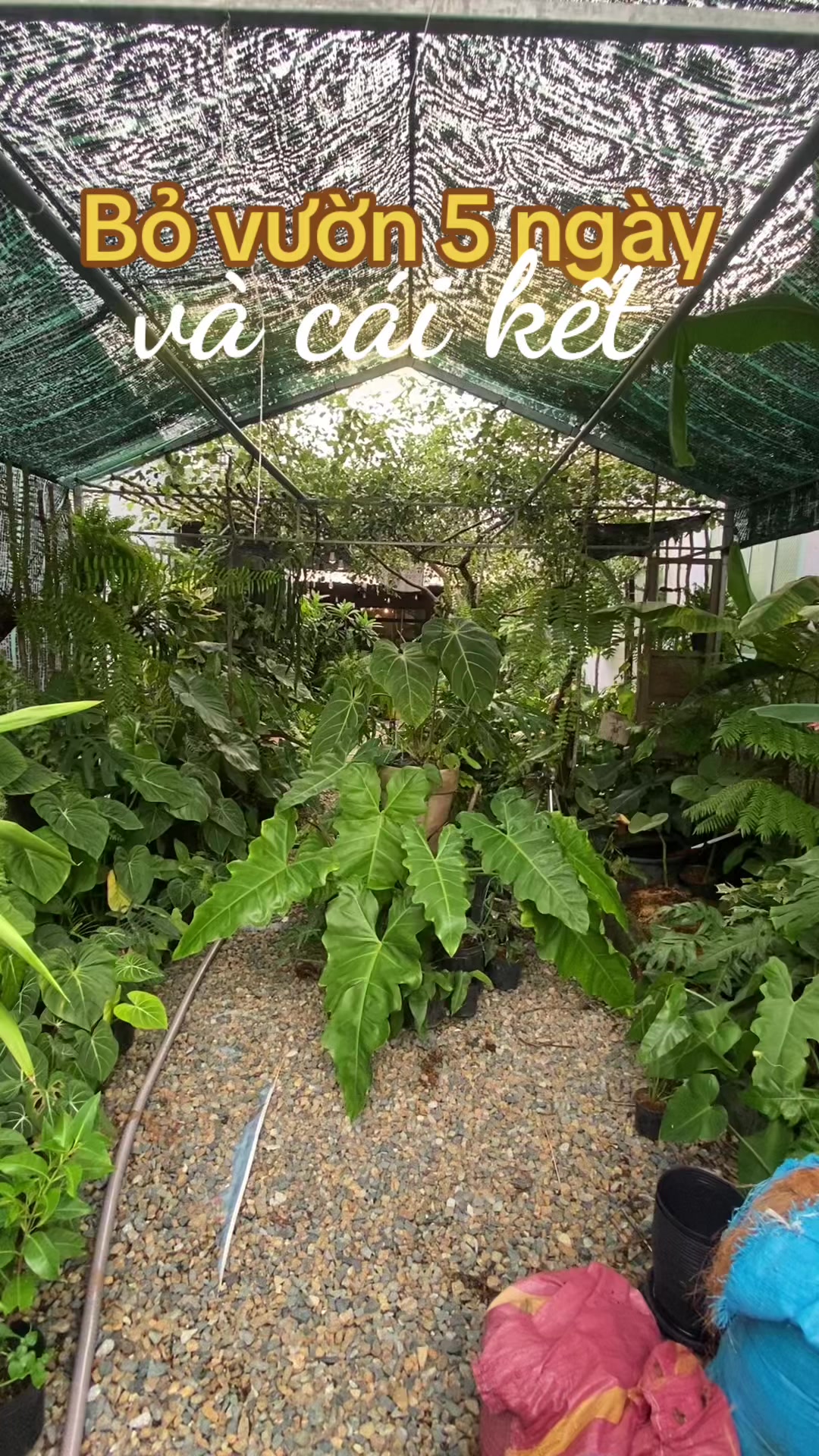 @Kid Garden Decor
