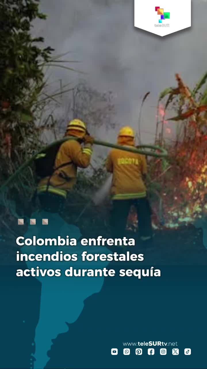 @teleSUR Clips